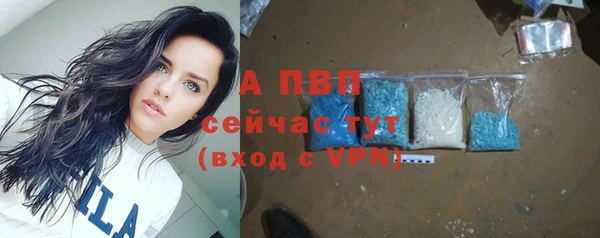 ГАЛЛЮЦИНОГЕННЫЕ ГРИБЫ Волоколамск