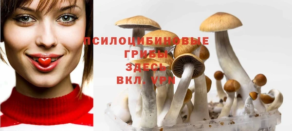 ГАЛЛЮЦИНОГЕННЫЕ ГРИБЫ Волоколамск