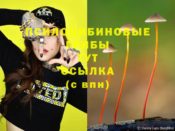 ECSTASY Володарск